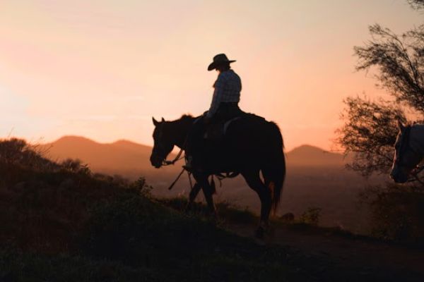 Wild West Horse Adventures